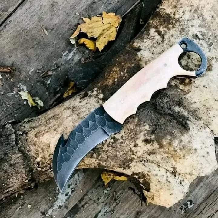 1095 Hawksbill knife - camel bone handle & leather sheath image 0