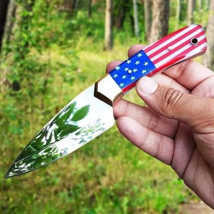 Fixed Blade Texas Cowboy Knife With Sheath & USA Flag Handle image 0