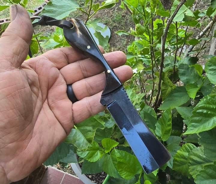 5160 steel black coated bull cutter knife "buffalo horn handle" image 0