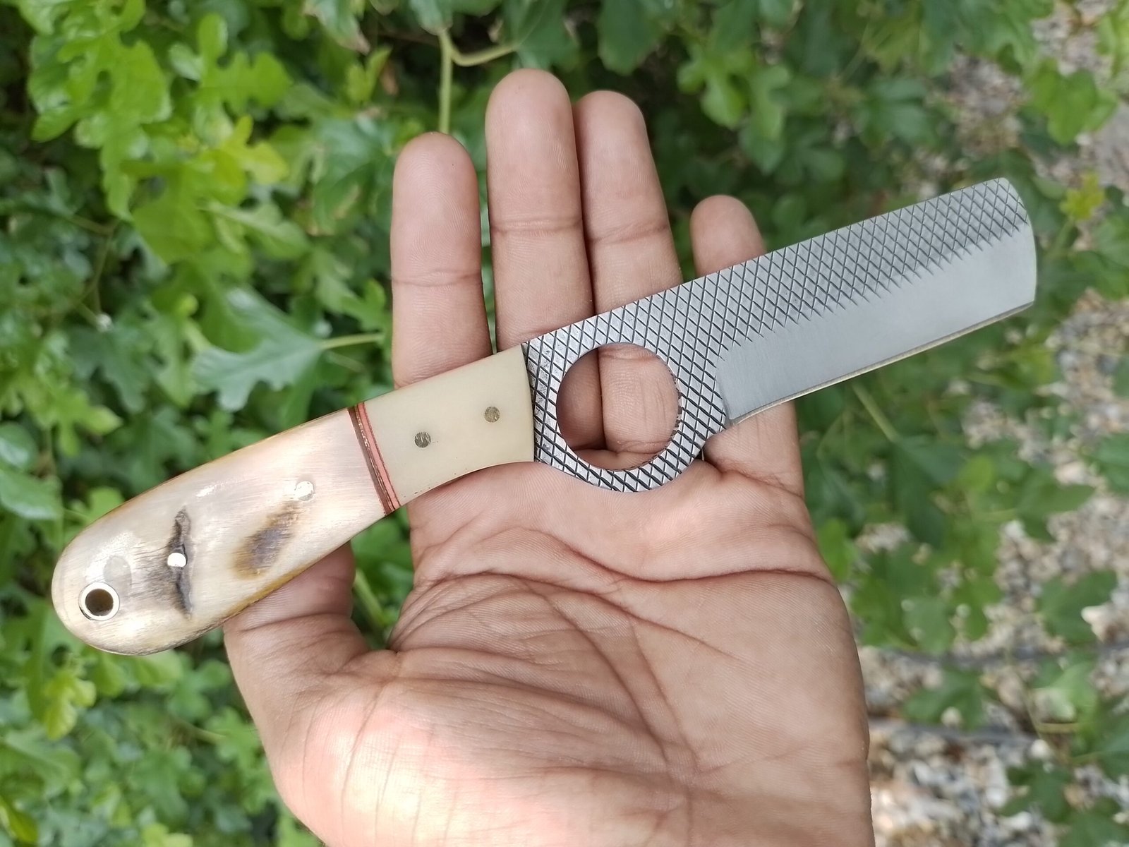 Carbon steel file rasp bull cutter knife with camel bone /ram hornhandle image 0