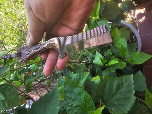 Handcrafted Rasp Bull Cutter Knife with stag antler handle and cowhide leather sheath.