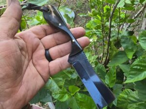 Hand forged Bull Cutter Knife featuring a black-coated 4-inch blade, natural buffalo horn handle, and brass pins.